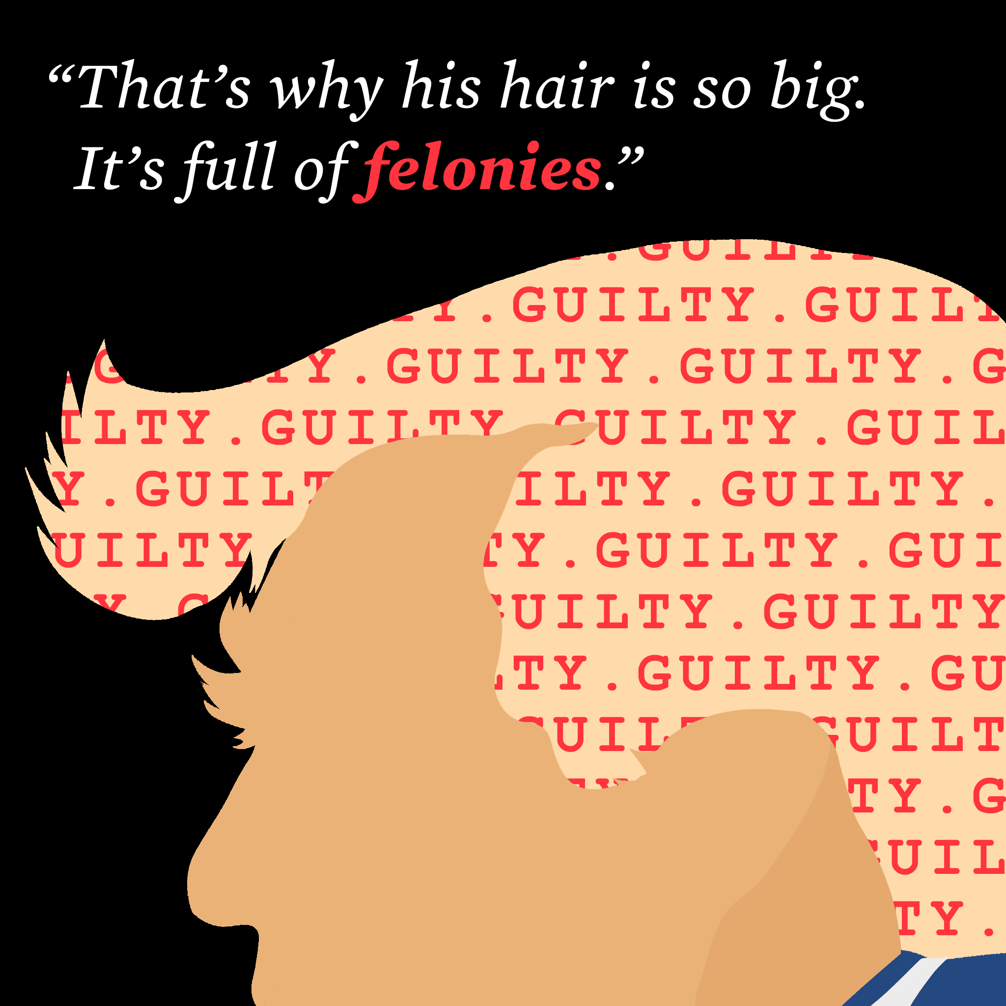 Hair_Full_of_Felonies.png